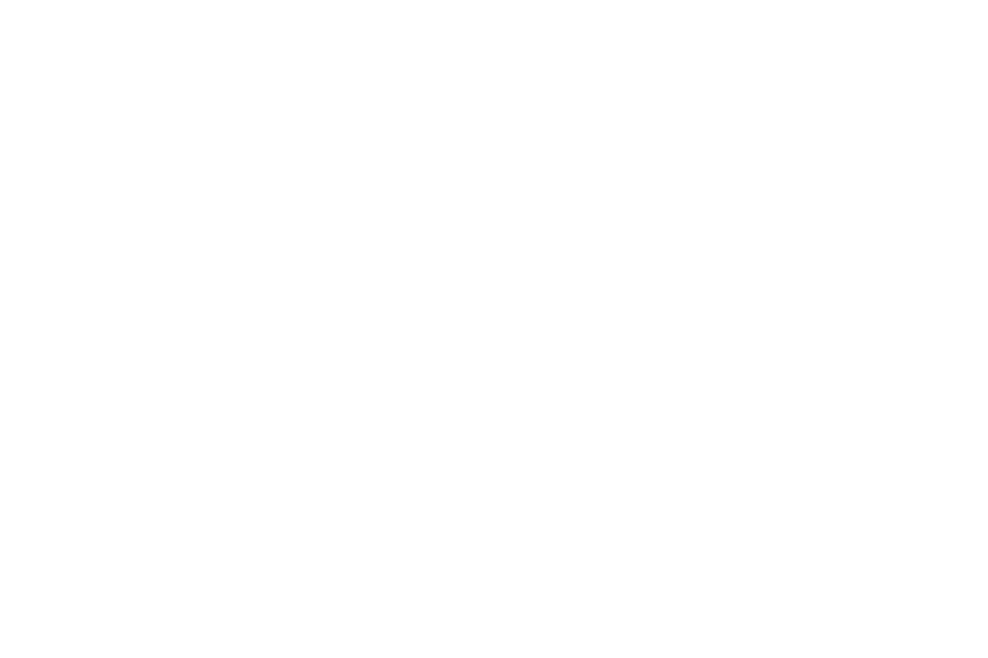 Lion Latch